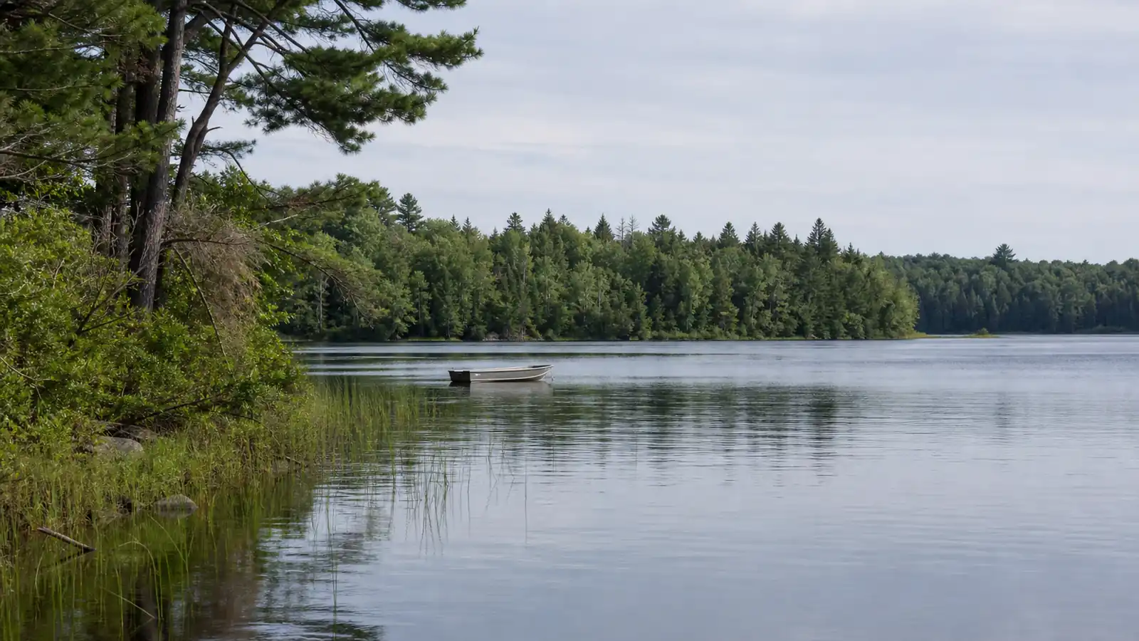 Harbor Springs man dies after boating incident on Wycamp Lake