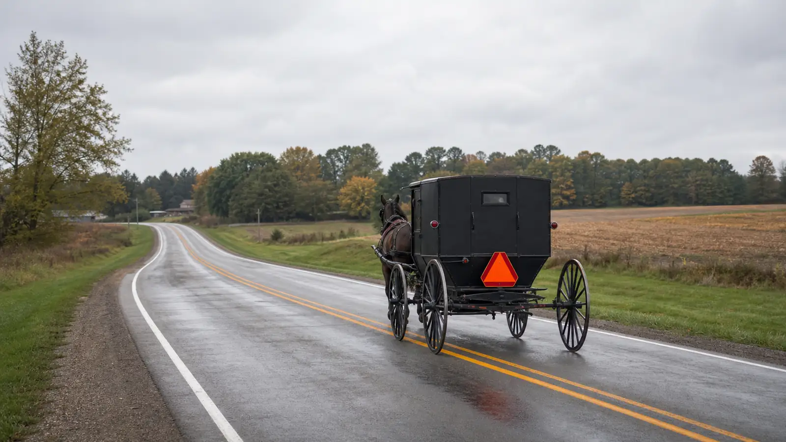 Three men injured in Coldwater Township Amish buggy crash