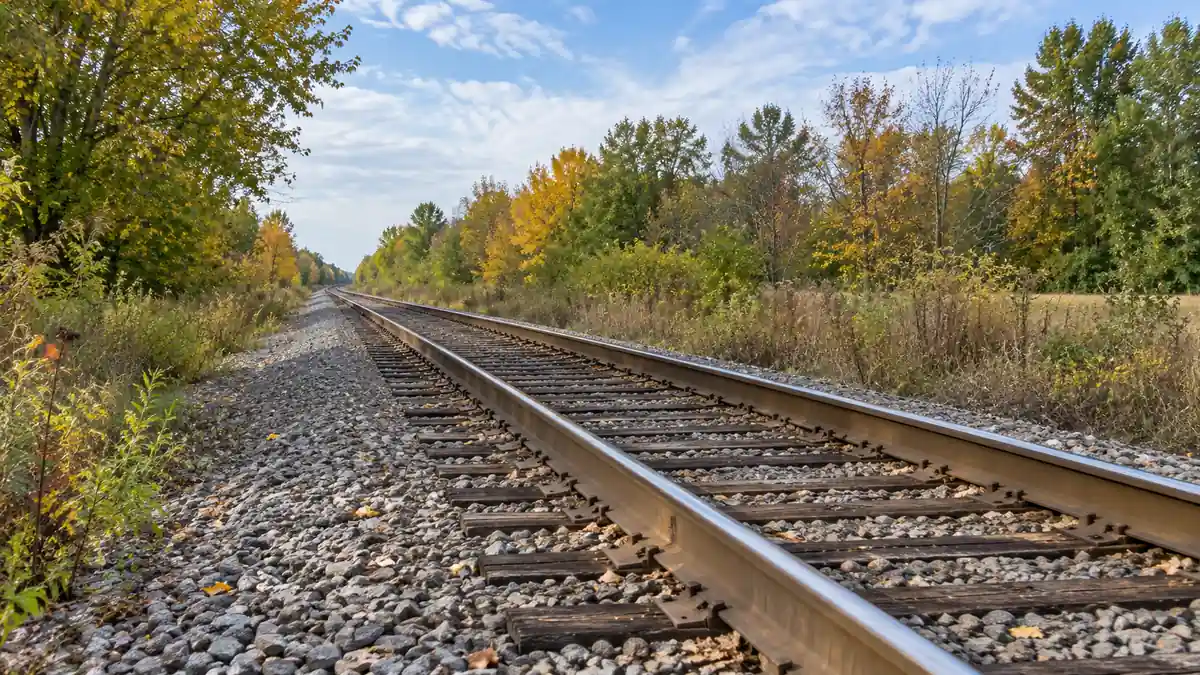 Genoa Township woman, 79, killed by train