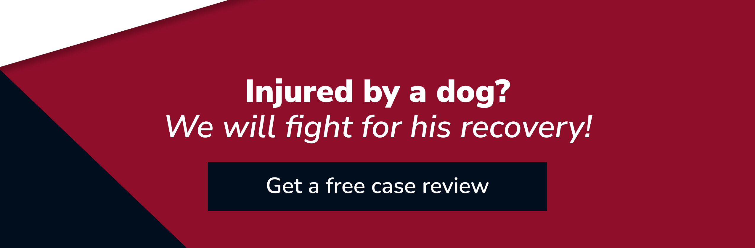 Injured by a dog